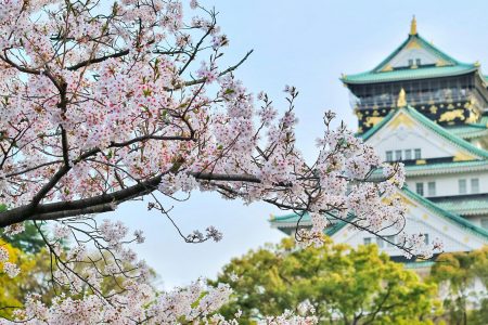 JAPAN HOLIDAYS
