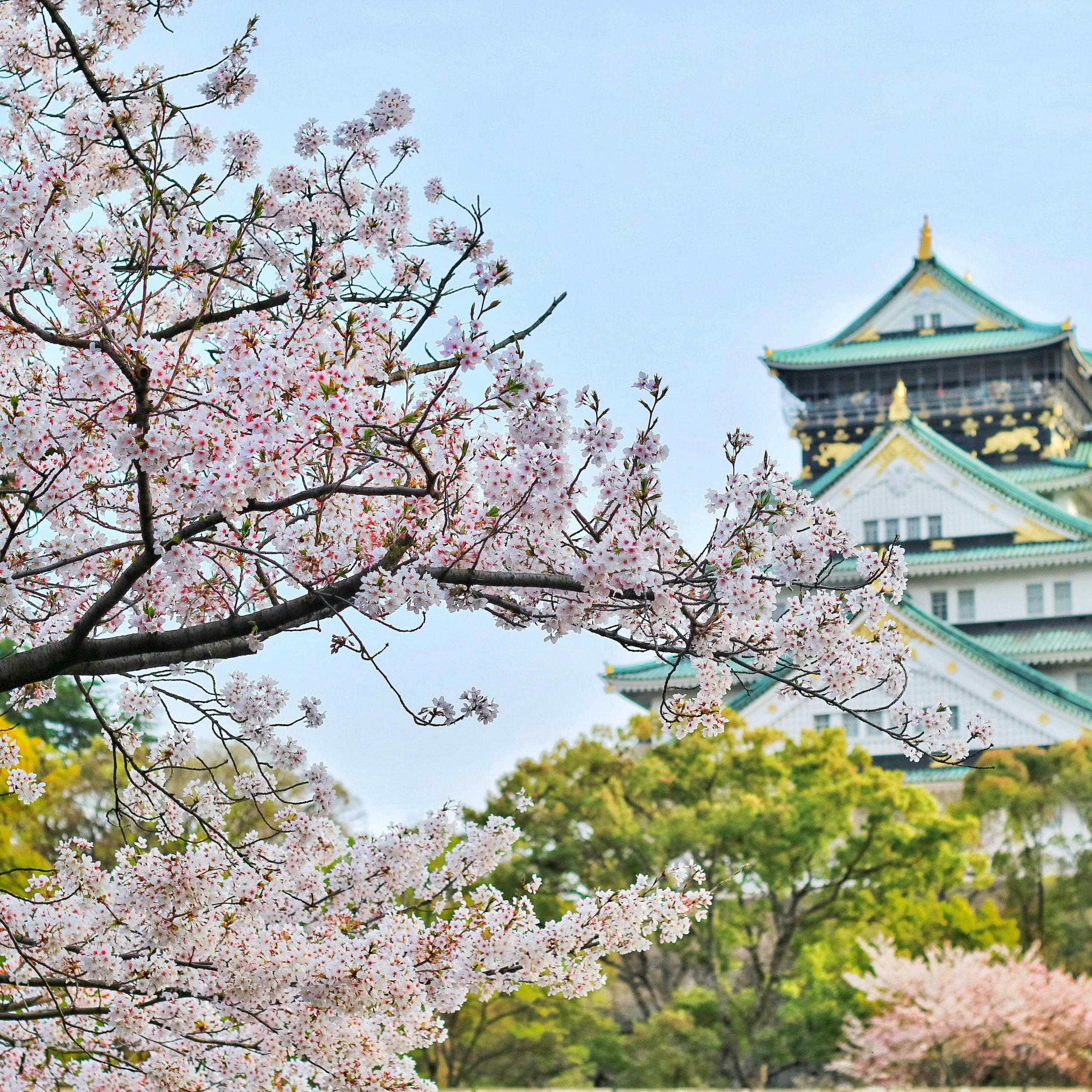 JAPAN HOLIDAYS