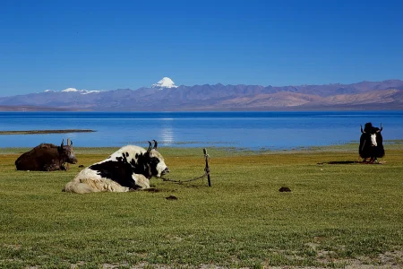 Kailash Mansarovar Yatra 13 Night / 14 Days